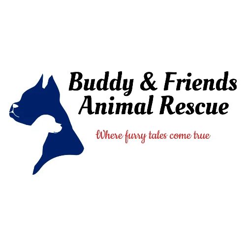 BFAR - Men's Premium T-Shirt