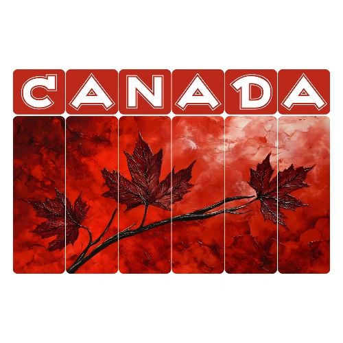 Art of Canada - Men's Premium T-Shirt