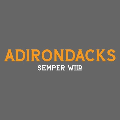 Semper Wild Adirondack Vintage Light - Men's Premium T-Shirt