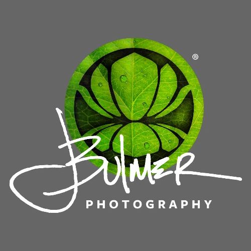 John Bulmer Photography Original Leaf Lotus Logo - Men's Premium T-Shirt