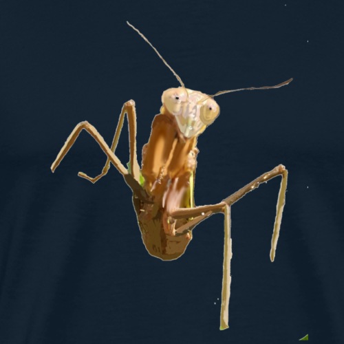 praying mantis - Men's Premium T-Shirt