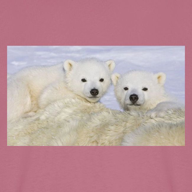 polarbears