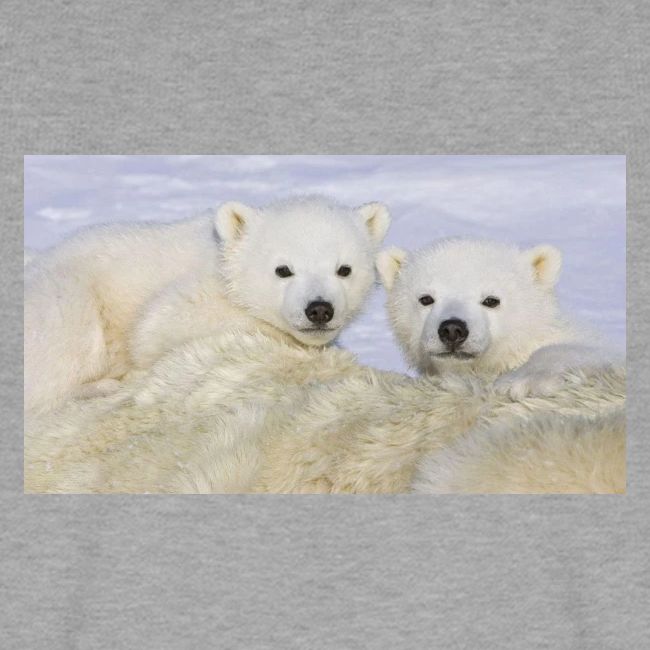 polarbears