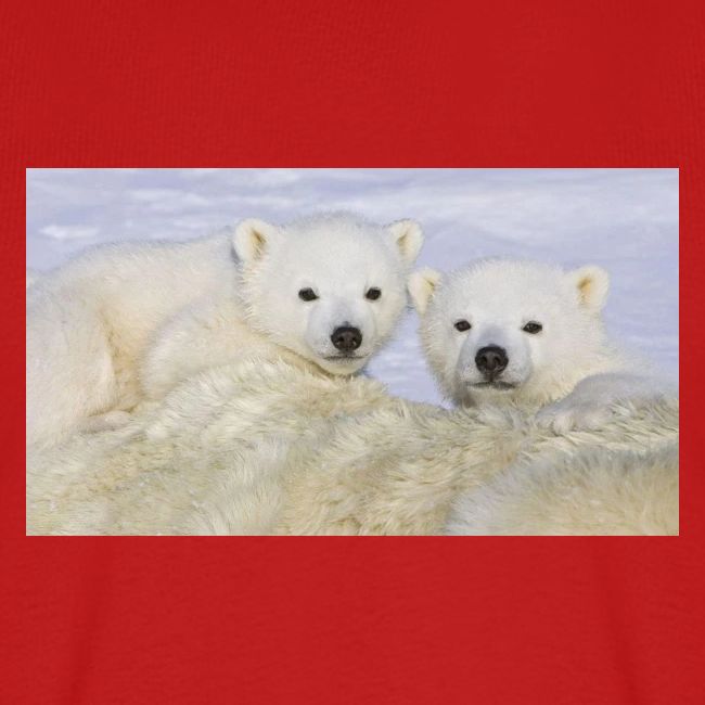 polarbears