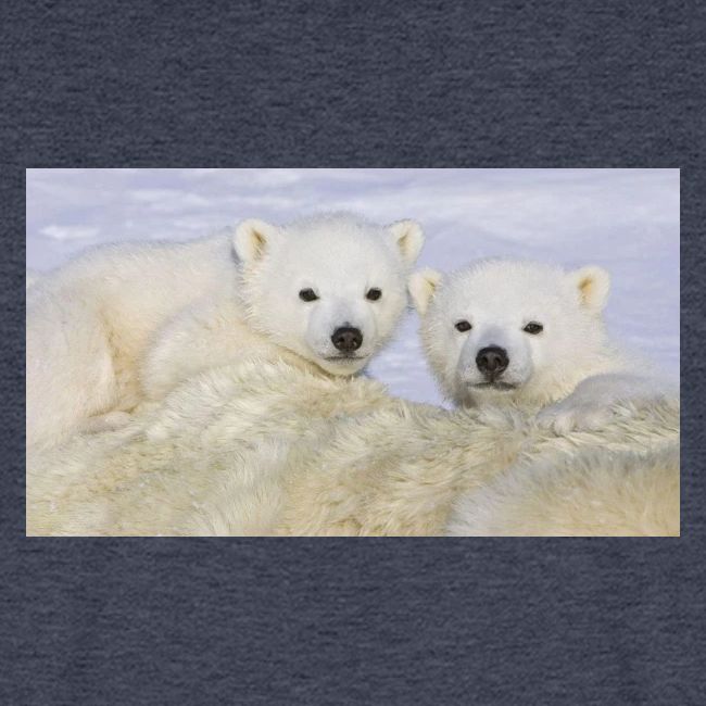 polarbears