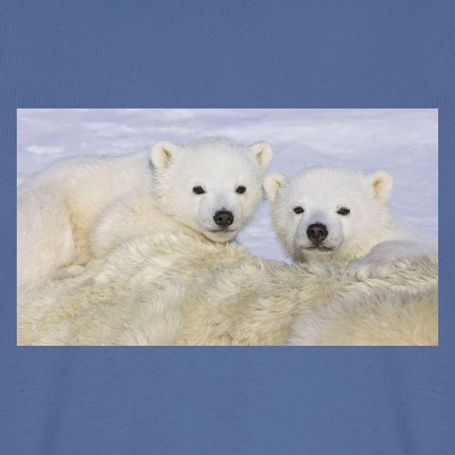 polarbears
