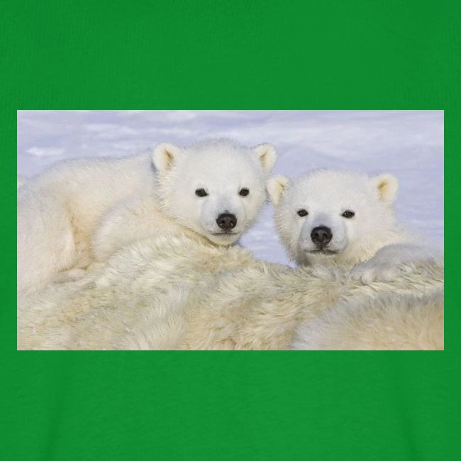 polarbears
