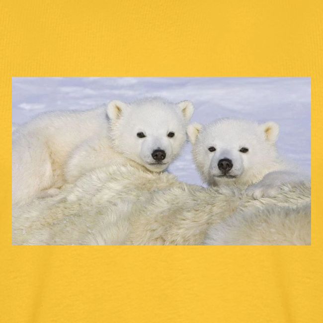 polarbears