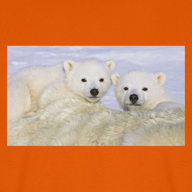 polarbears