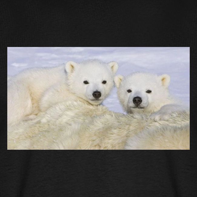 polarbears