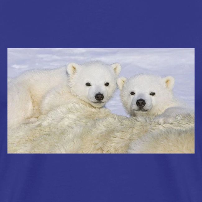 polarbears