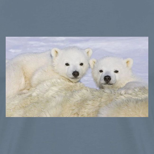 polarbears
