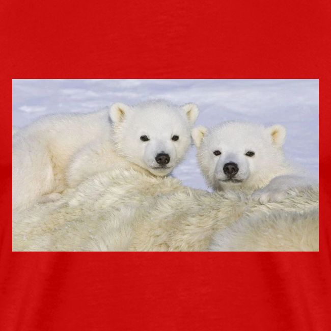 polarbears
