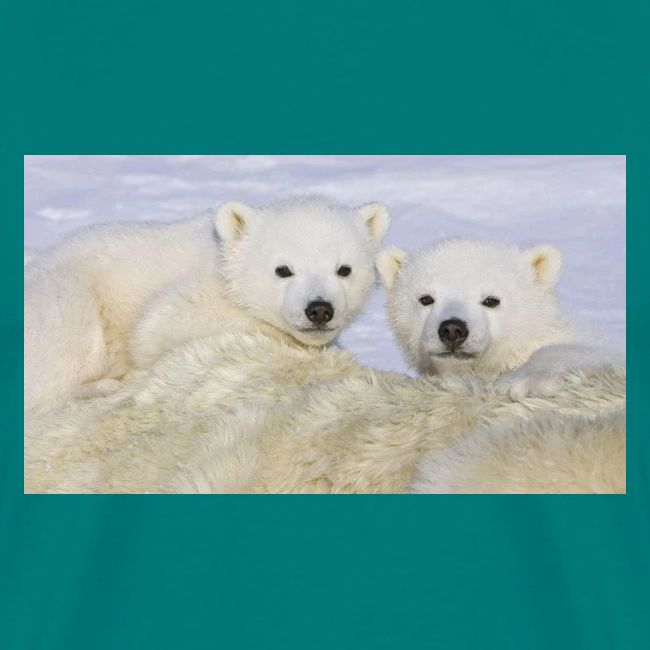 polarbears
