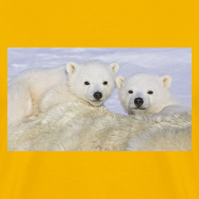 polarbears