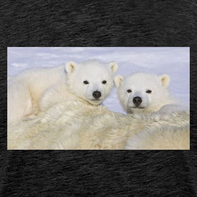 polarbears