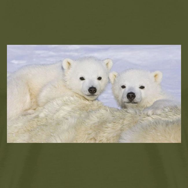 polarbears