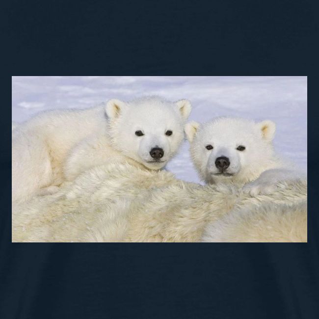 polarbears