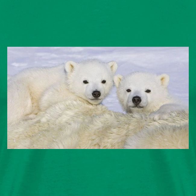 polarbears
