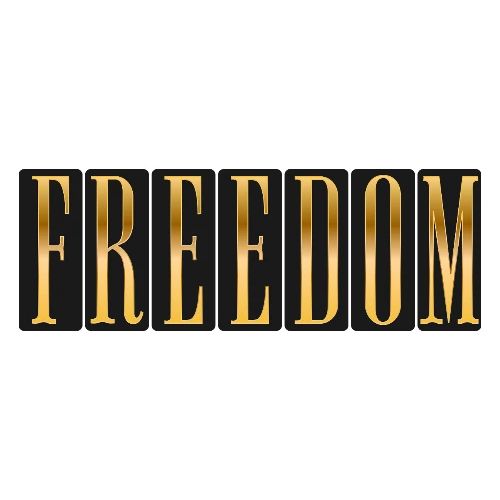 Freedom Shines - Men's Premium T-Shirt