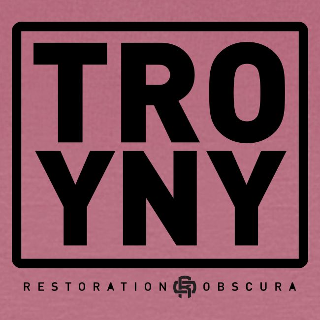 TROY NY Cube