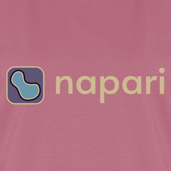 napari merch (lighter design)