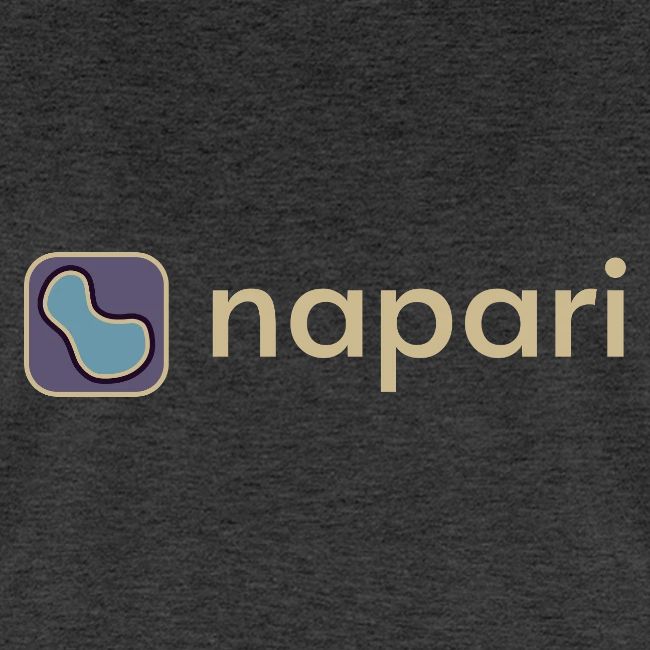 napari merch (lighter design)