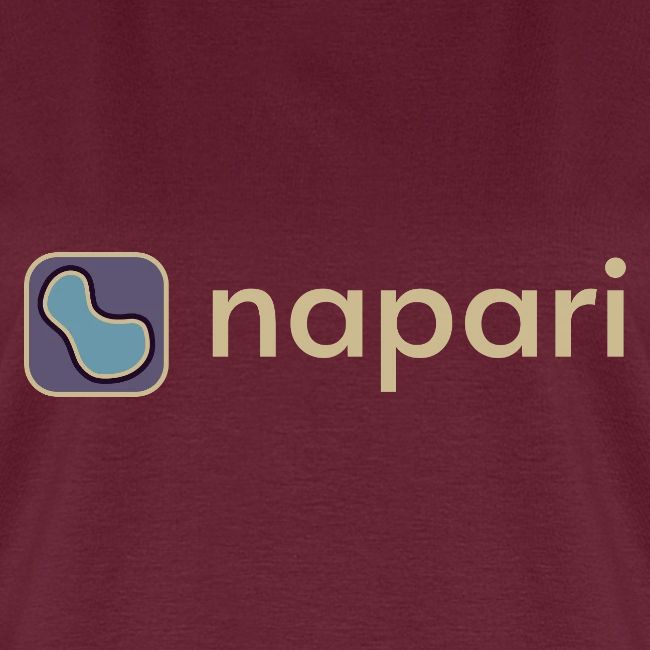 napari merch (lighter design)