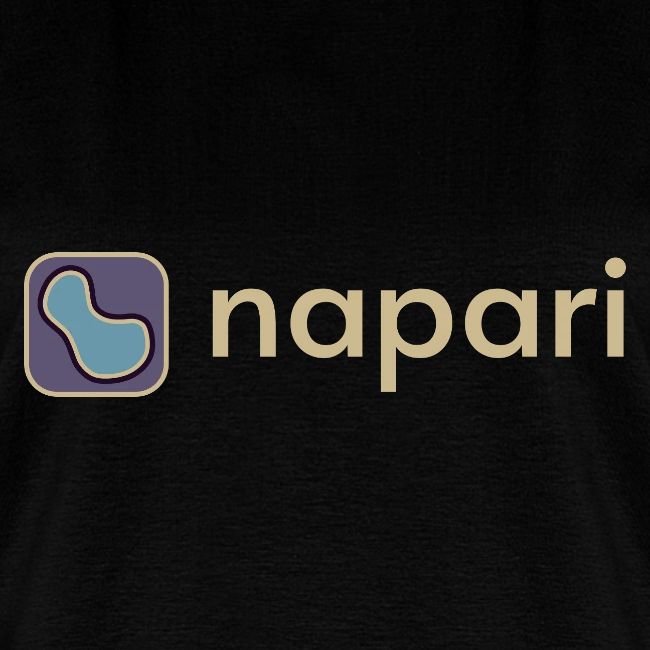 napari merch (lighter design)
