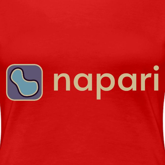 napari merch (lighter design)
