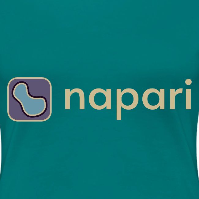 napari merch (lighter design)