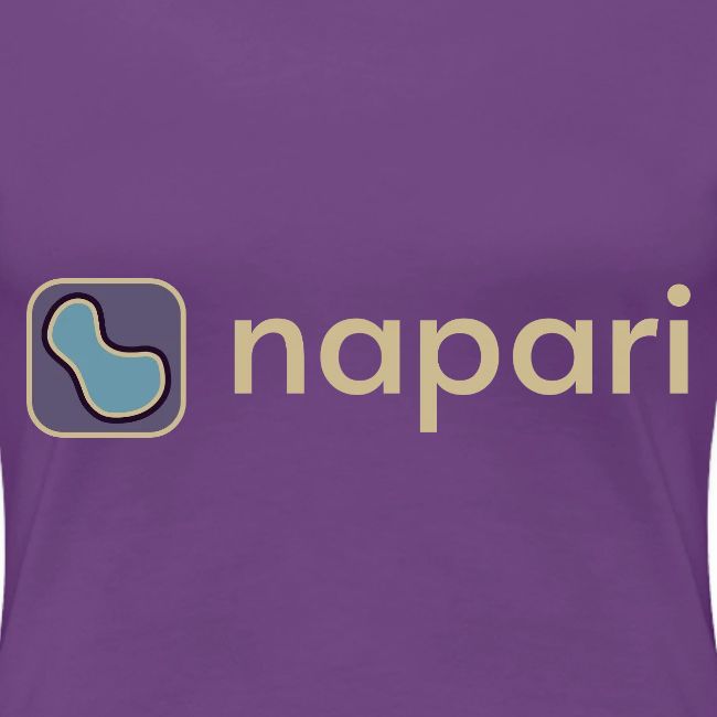 napari merch (lighter design)
