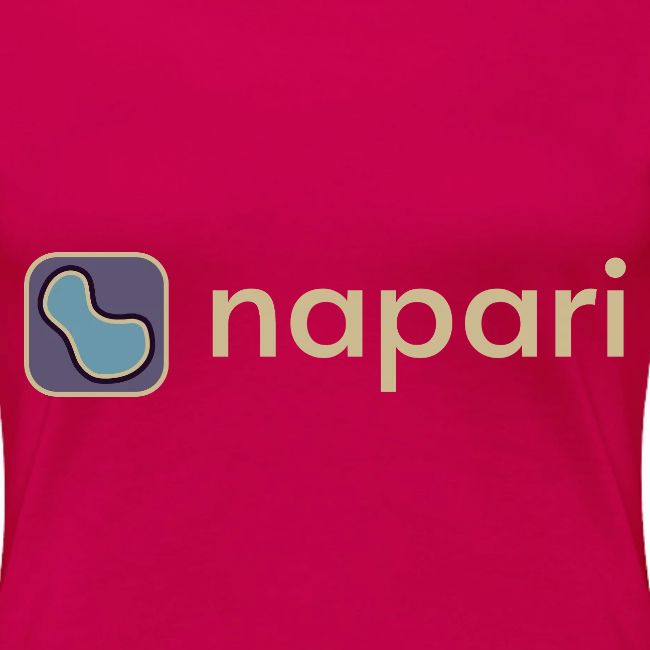 napari merch (lighter design)