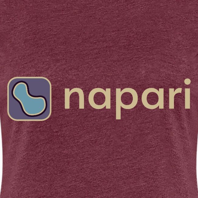 napari merch (lighter design)