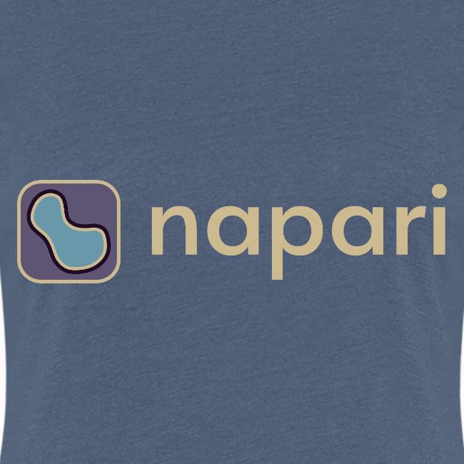 napari merch (lighter design)