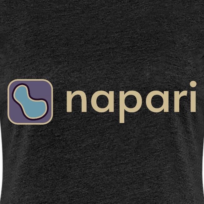napari merch (lighter design)
