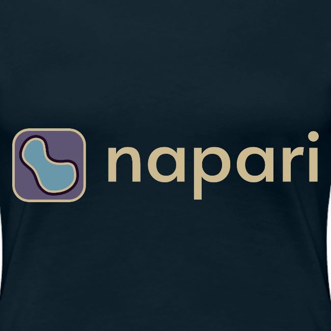 napari merch (lighter design)