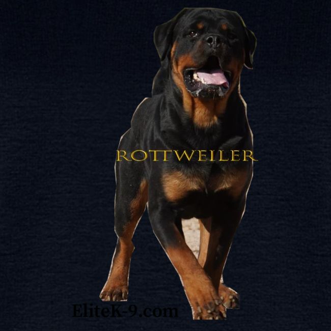 Rottweiler (Yago) 2