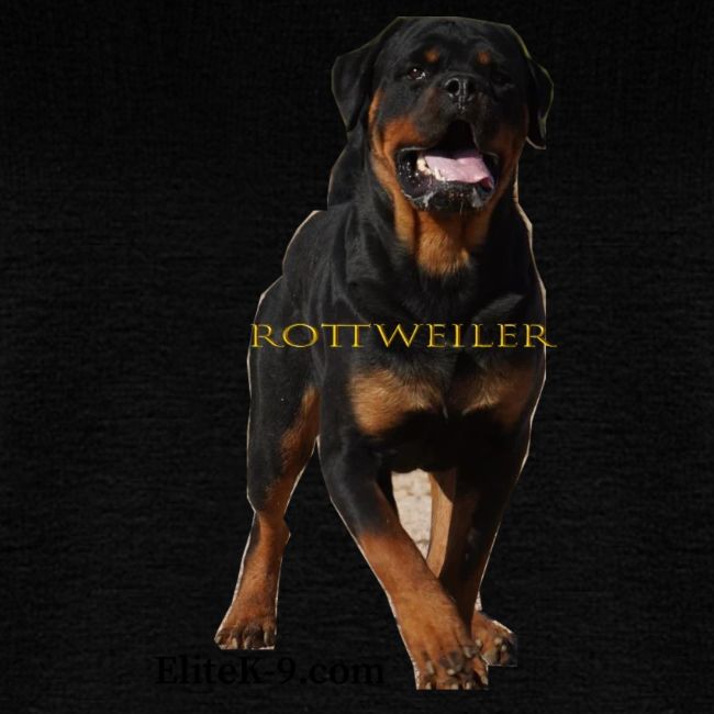 Rottweiler (Yago) 2