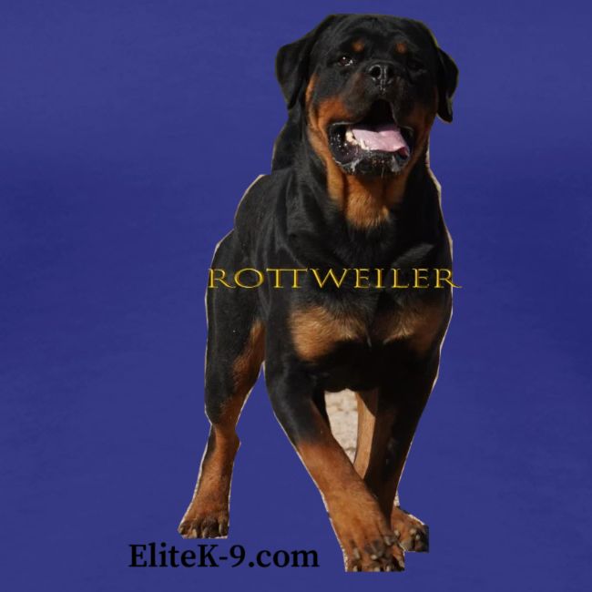 Rottweiler (Yago) 2