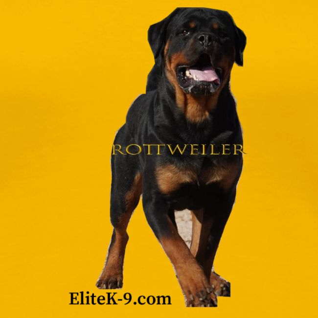 Rottweiler (Yago) 2