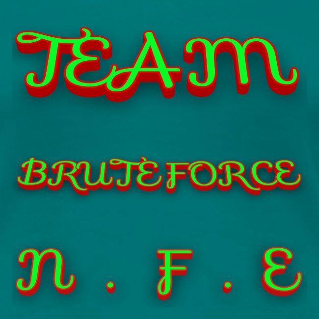 TEAM BRUTEFORCE