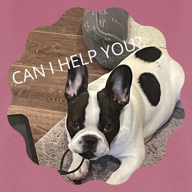 MOCHI CAN I HELP YOU