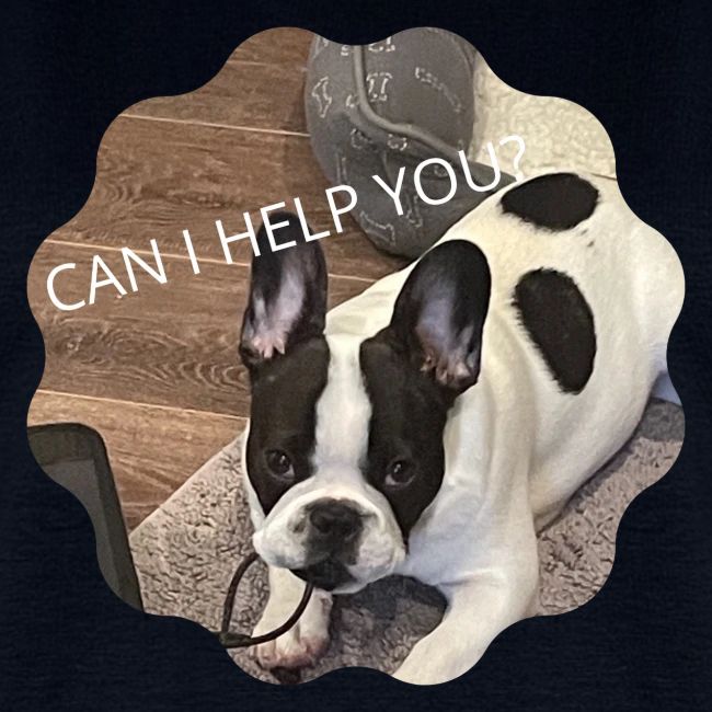 MOCHI CAN I HELP YOU