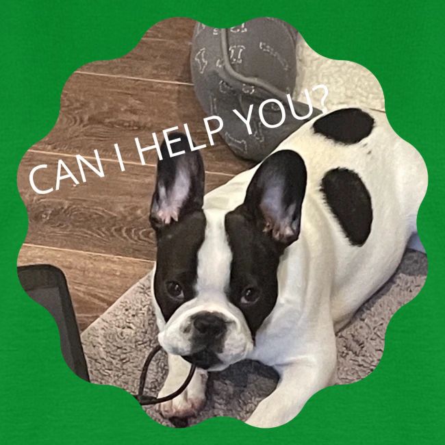 MOCHI CAN I HELP YOU