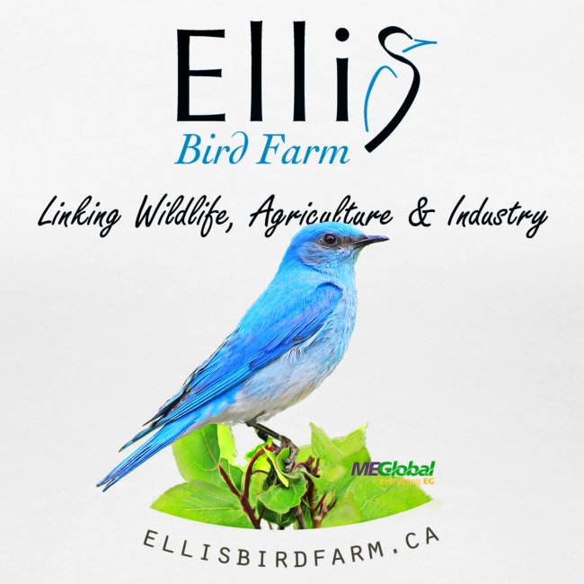 Ellis Bird Farm - Carolyn Sandstrom