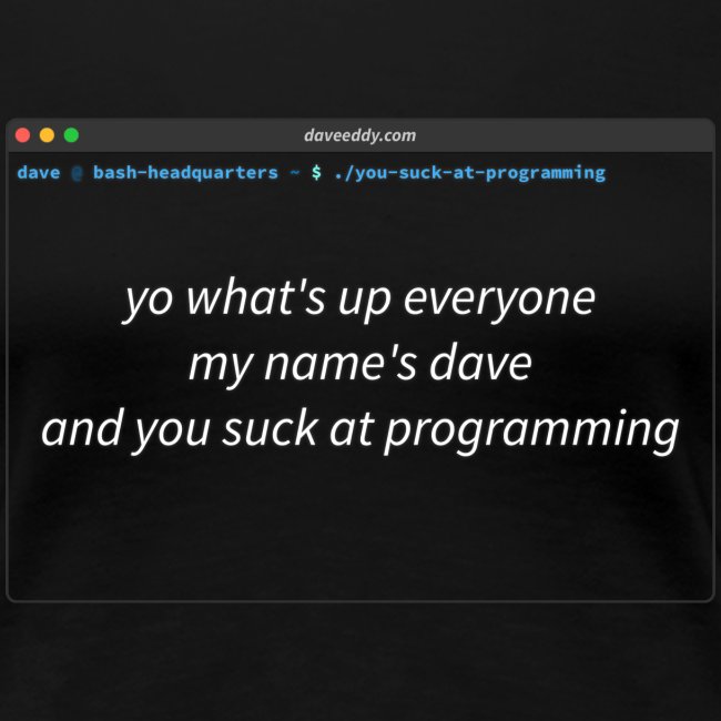 You Suck at Programming Terminal