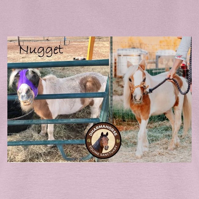 Nugget