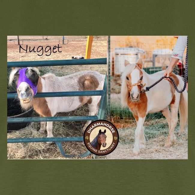 Nugget