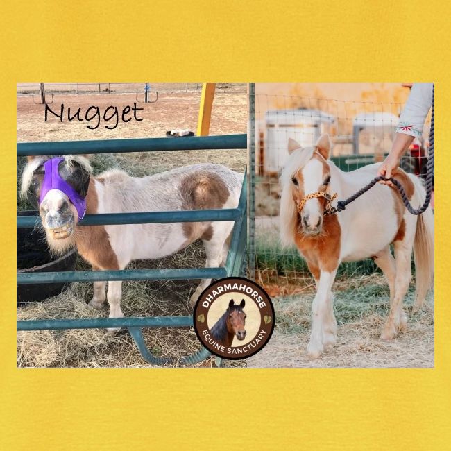 Nugget